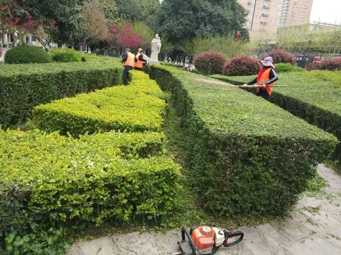 公園園林景觀設(shè)計工程