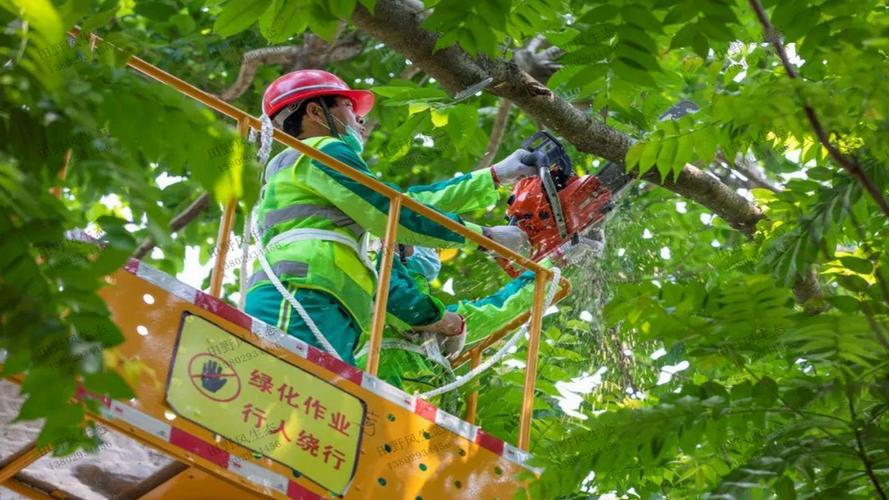 廣元園林綠化管理所招聘